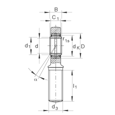 桿端軸承 GAL80-DO-2RS, 根據(jù) DIN ISO 12 240-4 標(biāo)準(zhǔn)，帶左旋外螺紋，需維護，兩側(cè)唇密封